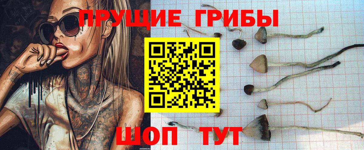 Псилоцибиновые грибы Magic Shrooms  Вход с VPN  Псилоцибиновые грибы прущие грибы  Щёлково 