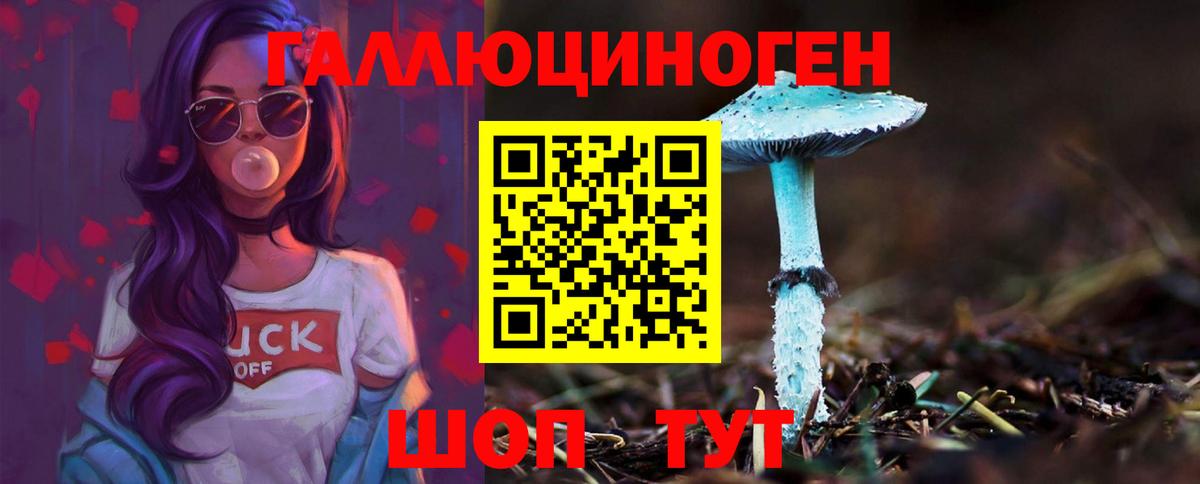 Галлюциногенные грибы Psilocybe Щёлково